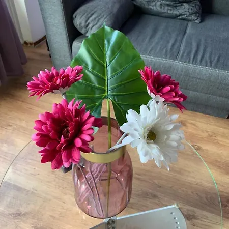 Apartman Modern And Central, Near Rhein & Museums, Fully Furnished