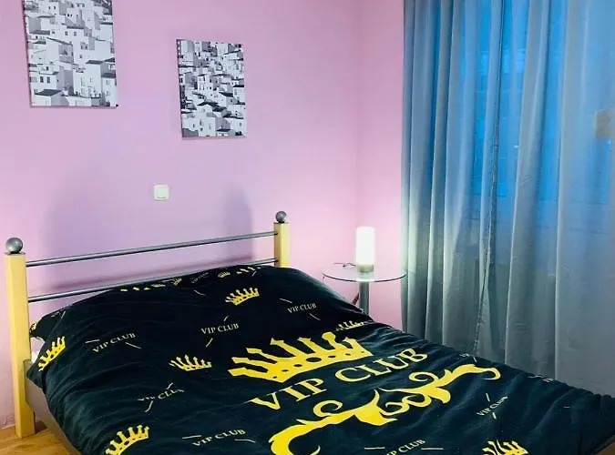 公寓 Modern And Central, Near Rhein & Museums, Fully Furnished *