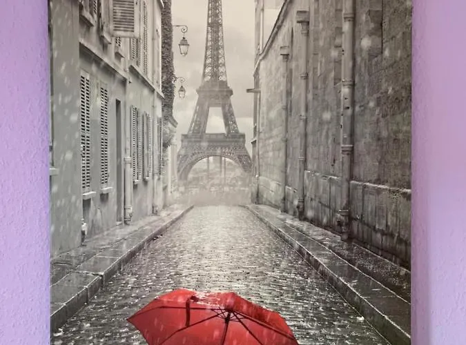 Modern And Central, Near Rhein & Museums, Fully Furnished 公寓