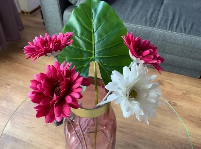 Apartman Modern And Central, Near Rhein & Museums, Fully Furnished